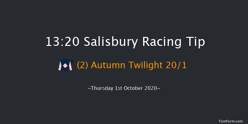 Byerley Stud British EBF Novice Stakes (Plus 10) (Div 1) Salisbury 13:20 Stakes (Class 4) 7f Fri 11th Sep 2020