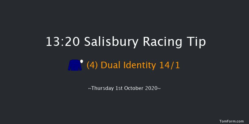 Byerley Stud British EBF Novice Stakes (Plus 10) (Div 1) Salisbury 13:20 Stakes (Class 4) 7f Fri 11th Sep 2020