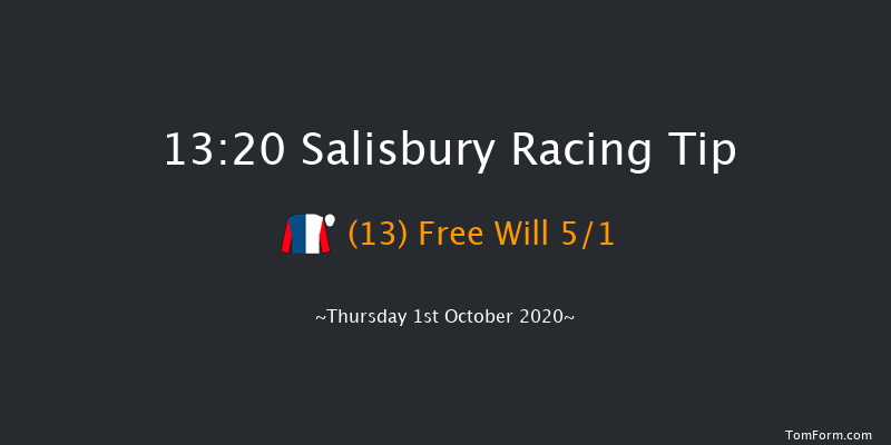 Byerley Stud British EBF Novice Stakes (Plus 10) (Div 1) Salisbury 13:20 Stakes (Class 4) 7f Fri 11th Sep 2020