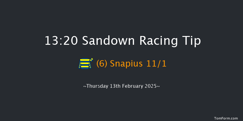 Sandown  13:20 Handicap Hurdle (Class 4) 16f Sat 1st Feb 2025