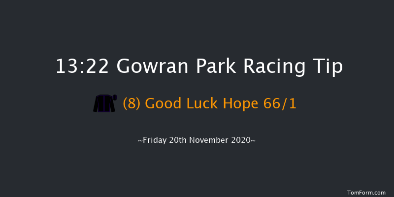 Holden Plant Rentals Novice Handicap Hurdle Gowran Park 13:22 Handicap Hurdle 16f Wed 21st Oct 2020