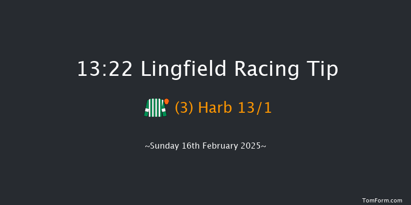 Lingfield  13:22 Handicap (Class 5) 5f Tue 11th Feb 2025