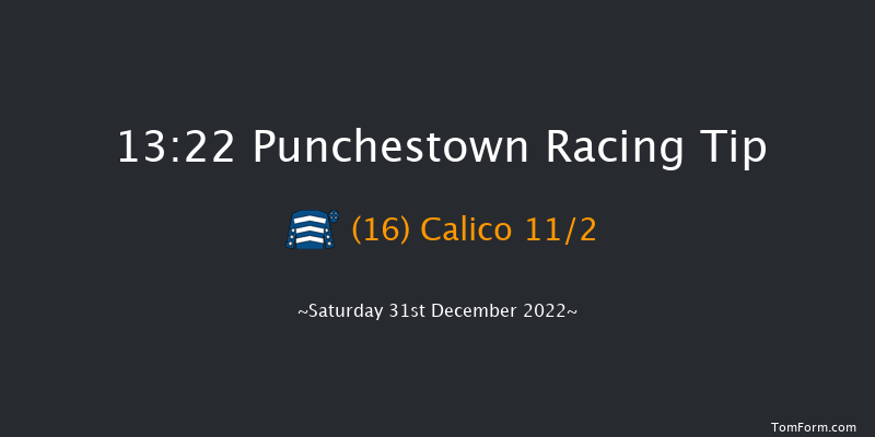 Punchestown 13:22 Maiden Hurdle 16f Mon 19th Dec 2022