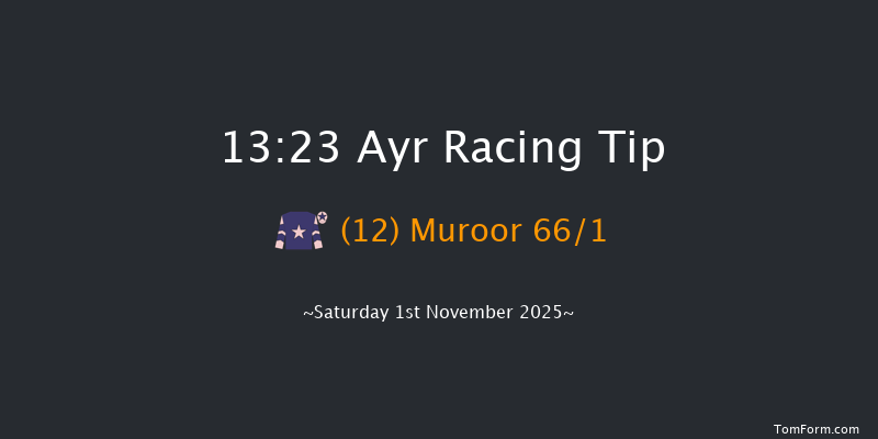 Ayr 13-23 (Class 5) 24f Thu 9th Oct 2025
