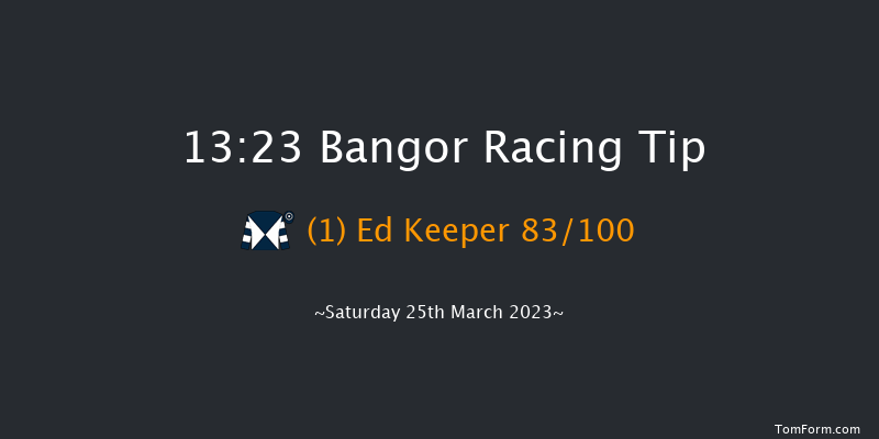 Bangor 13:23 Maiden Hurdle (Class 
4) 20f Fri 10th Feb 2023