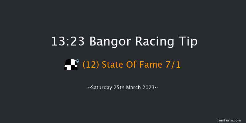 Bangor 13:23 Maiden Hurdle (Class 
4) 20f Fri 10th Feb 2023