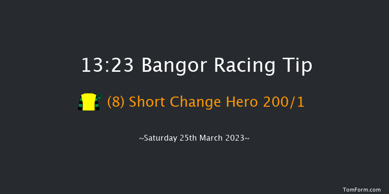 Bangor 13:23 Maiden Hurdle (Class 
4) 20f Fri 10th Feb 2023
