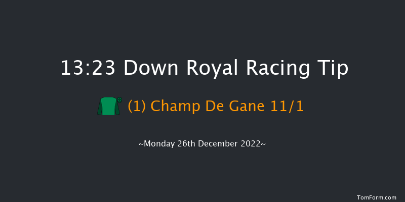 Down Royal 13:23 Maiden Chase 20f Sat 5th Nov 2022