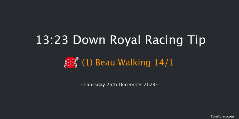 Down Royal  13:23 Maiden Chase 21f Sat 2nd Nov 2024