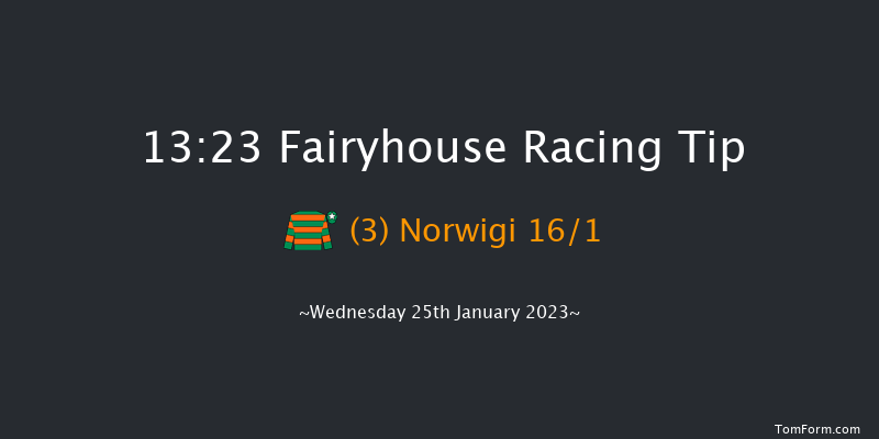 Fairyhouse 13:23 Handicap Chase 21f Sat 14th Jan 2023