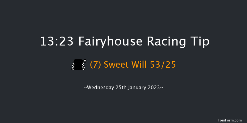 Fairyhouse 13:23 Handicap Chase 21f Sat 14th Jan 2023