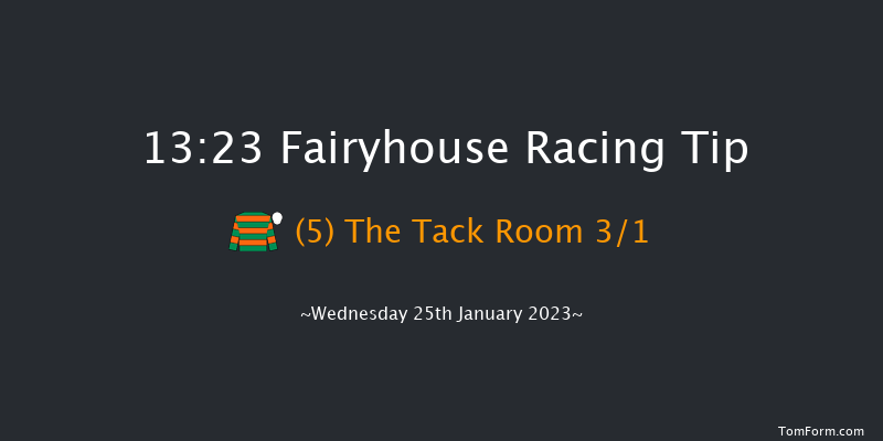 Fairyhouse 13:23 Handicap Chase 21f Sat 14th Jan 2023