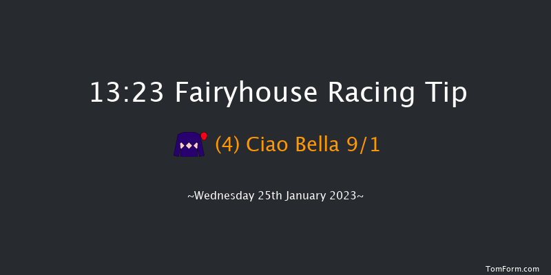 Fairyhouse 13:23 Handicap Chase 21f Sat 14th Jan 2023