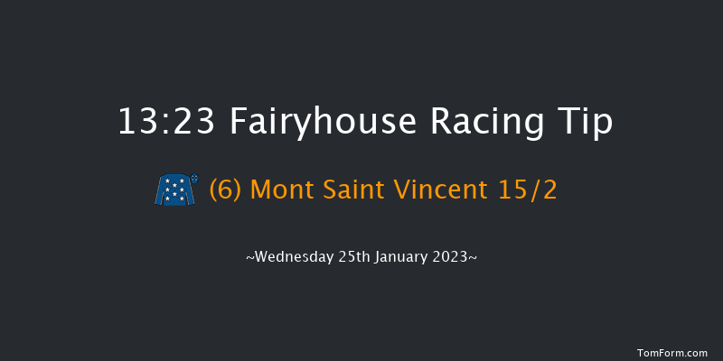 Fairyhouse 13:23 Handicap Chase 21f Sat 14th Jan 2023