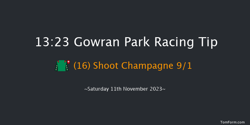 Gowran Park 13:23 Maiden Hurdle 16f Tue 17th Oct 2023