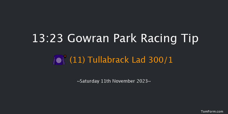 Gowran Park 13:23 Maiden Hurdle 16f Tue 17th Oct 2023