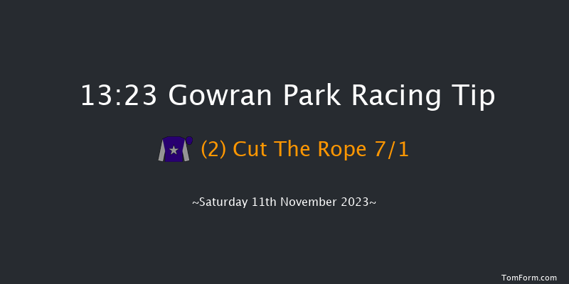 Gowran Park 13:23 Maiden Hurdle 16f Tue 17th Oct 2023