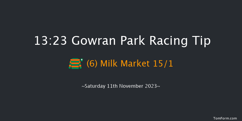 Gowran Park 13:23 Maiden Hurdle 16f Tue 17th Oct 2023