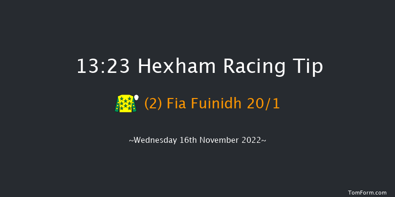 Hexham 13:23 Maiden Hurdle (Class 4) 16f Fri 4th Nov 2022