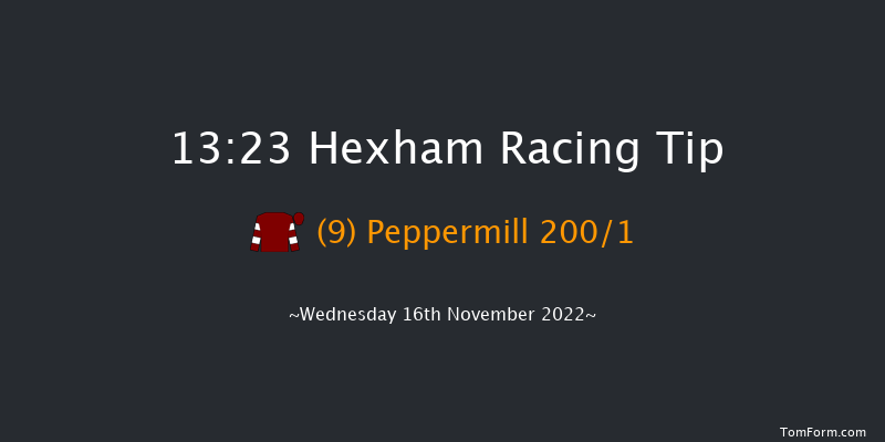 Hexham 13:23 Maiden Hurdle (Class 4) 16f Fri 4th Nov 2022
