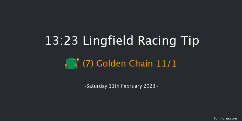 Lingfield 13:23 Handicap (Class 4) 12f Sat 4th Feb 2023
