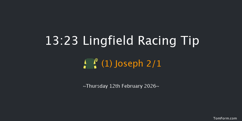 Lingfield 13-23 (Class 6) 10f Tue 10th Feb 2026