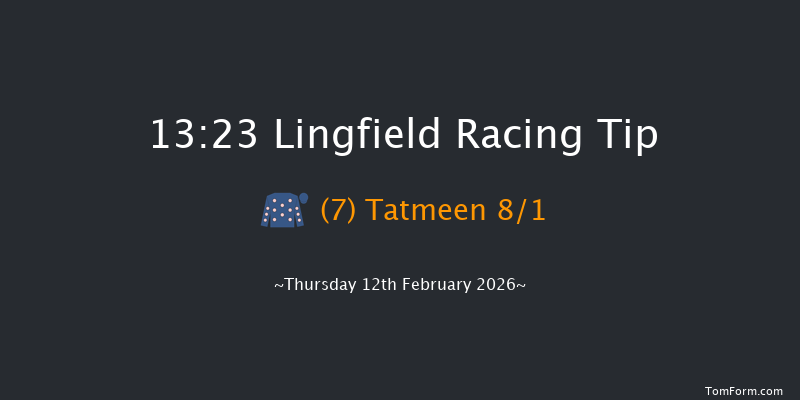 Lingfield 13-23 (Class 6) 10f Tue 10th Feb 2026
