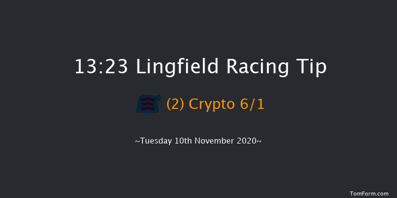 Chris Young Memorial 'National Hunt' EBF Novices' Hurdle Lingfield 13:23 Novices Hurdle (Class 3) 20f Wed 4th Nov 2020