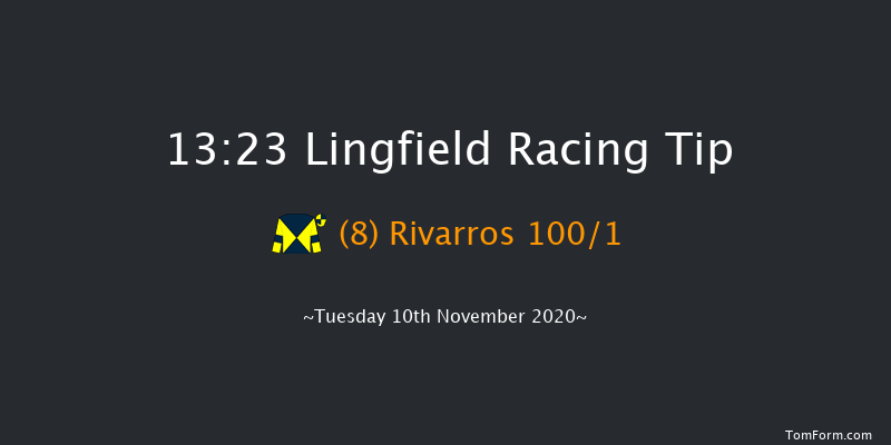 Chris Young Memorial 'National Hunt' EBF Novices' Hurdle Lingfield 13:23 Novices Hurdle (Class 3) 20f Wed 4th Nov 2020