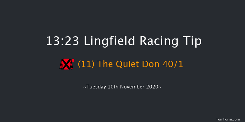 Chris Young Memorial 'National Hunt' EBF Novices' Hurdle Lingfield 13:23 Novices Hurdle (Class 3) 20f Wed 4th Nov 2020