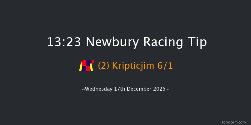 Newbury 13-23 (Class 3) 20f Sat 29th Nov 2025