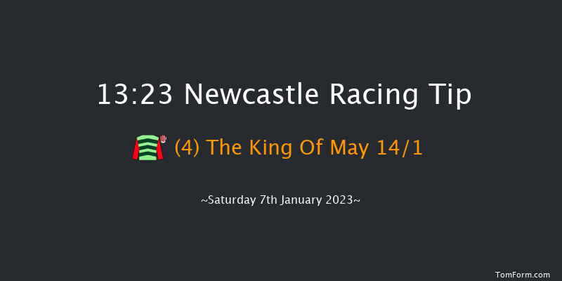 Newcastle 13:23 Handicap Chase (Class 3) 20f Wed 4th Jan 2023