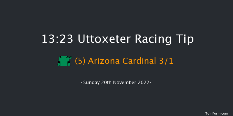 Uttoxeter 13:23 Handicap Chase (Class 3) 22f Sat 12th Nov 2022