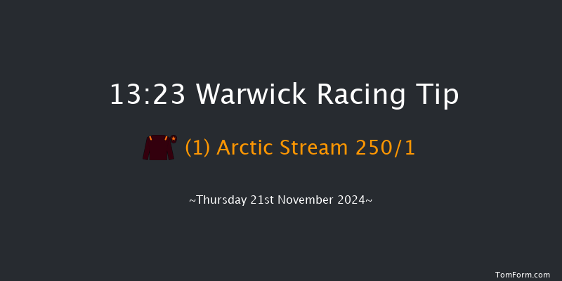 Warwick  13:23 Maiden Hurdle (Class 4) 19f Wed 20th Nov 2024