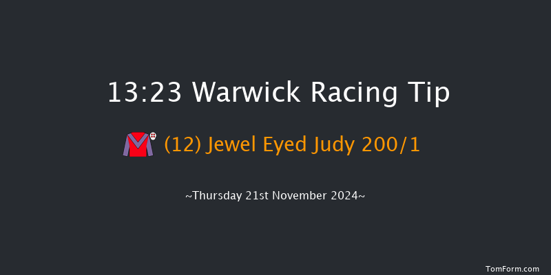 Warwick  13:23 Maiden Hurdle (Class 4) 19f Wed 20th Nov 2024