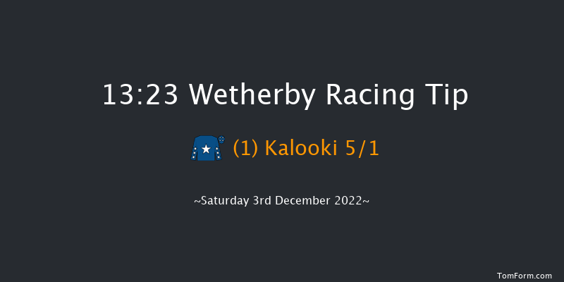 Wetherby 13:23 Handicap Chase (Class 3) 24f Wed 23rd Nov 2022