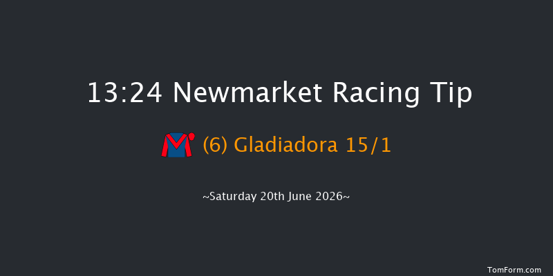 Newmarket 13-24 (Class 5) 8f Fri 19th Jun 2026