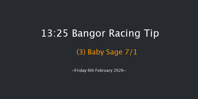 Bangor 13-25 (Class 4) 24f Sat 29th Nov 2025