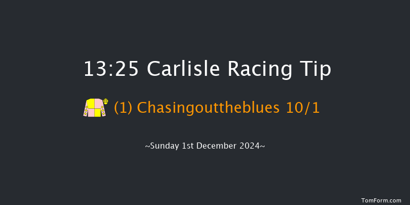 Carlisle  13:25 Novices Hurdle (Class 4) 19f Tue 19th Nov 2024