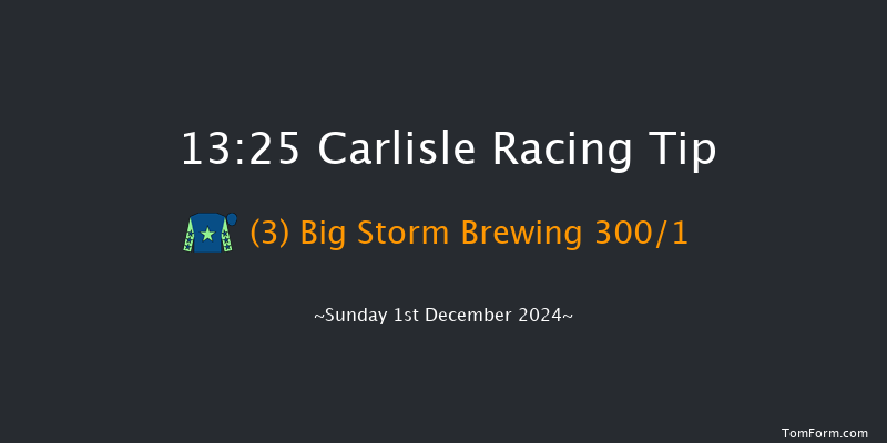 Carlisle  13:25 Novices Hurdle (Class 4) 19f Tue 19th Nov 2024