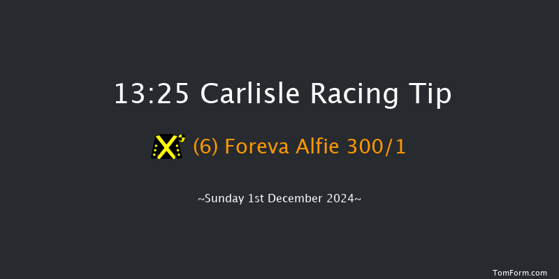 Carlisle  13:25 Novices Hurdle (Class 4) 19f Tue 19th Nov 2024