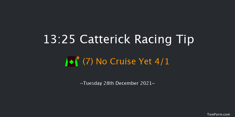 Catterick 13:25 Handicap Chase (Class 5) 25f Tue 14th Dec 2021