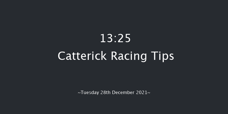 Catterick 13:25 Handicap Chase (Class 5) 25f Tue 14th Dec 2021