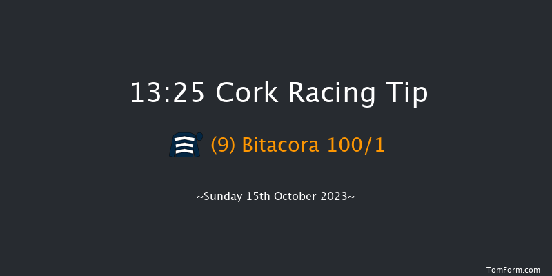Cork 13:25 Maiden Hurdle 16f Tue 26th Sep 2023