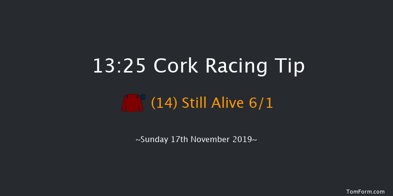 Cork 13:25 Handicap Hurdle 16f Sun 3rd Nov 2019
