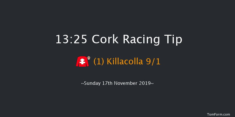 Cork 13:25 Handicap Hurdle 16f Sun 3rd Nov 2019