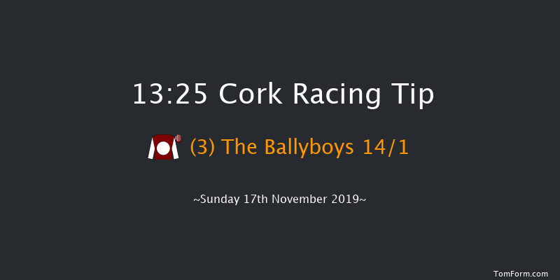 Cork 13:25 Handicap Hurdle 16f Sun 3rd Nov 2019