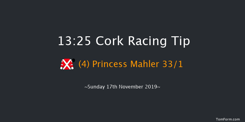Cork 13:25 Handicap Hurdle 16f Sun 3rd Nov 2019