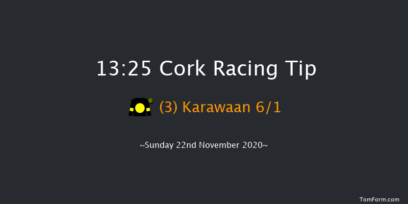 Adare Manor Opportunity Handicap Hurdle (80-109) Cork 13:25 Handicap Hurdle 16f Sun 1st Nov 2020