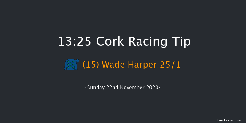 Adare Manor Opportunity Handicap Hurdle (80-109) Cork 13:25 Handicap Hurdle 16f Sun 1st Nov 2020